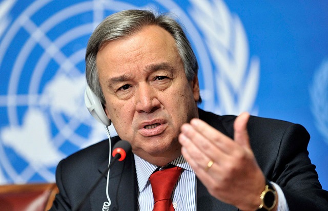 ONU advierte «ley de la selva» está sustituyendo al Estado de derecho Ley de la selva